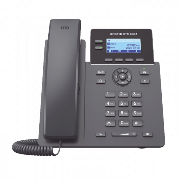 Teléfono IP para 2 líneas monocromático GS